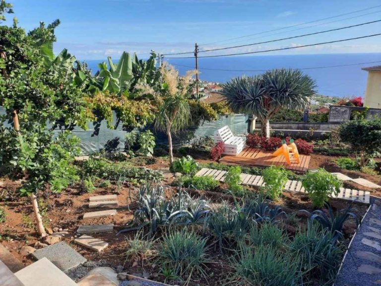 Sea view cottage garden view with trees