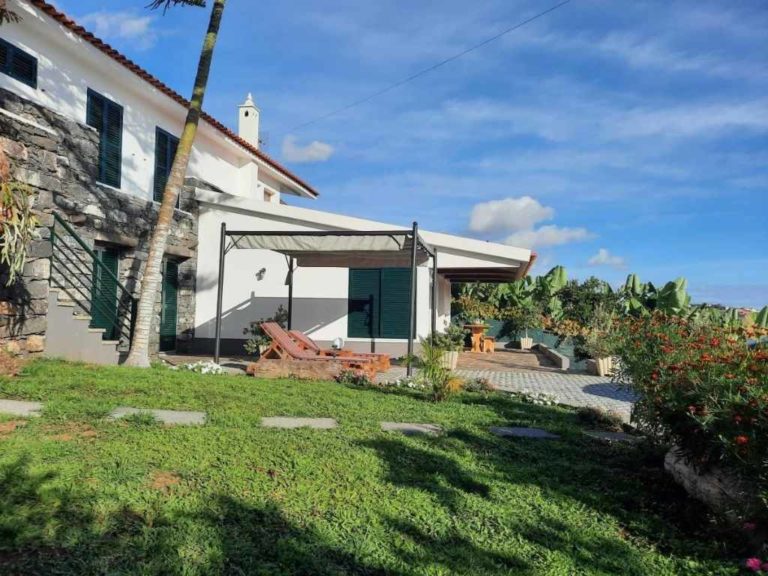 Sea view cottage outside garden and loungers