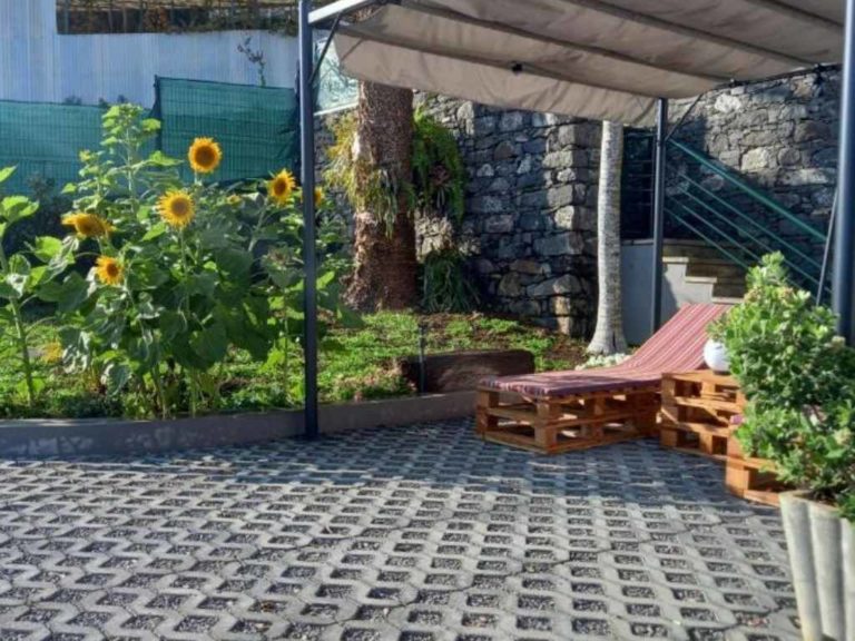 Sea view cottage trees and sun lounger