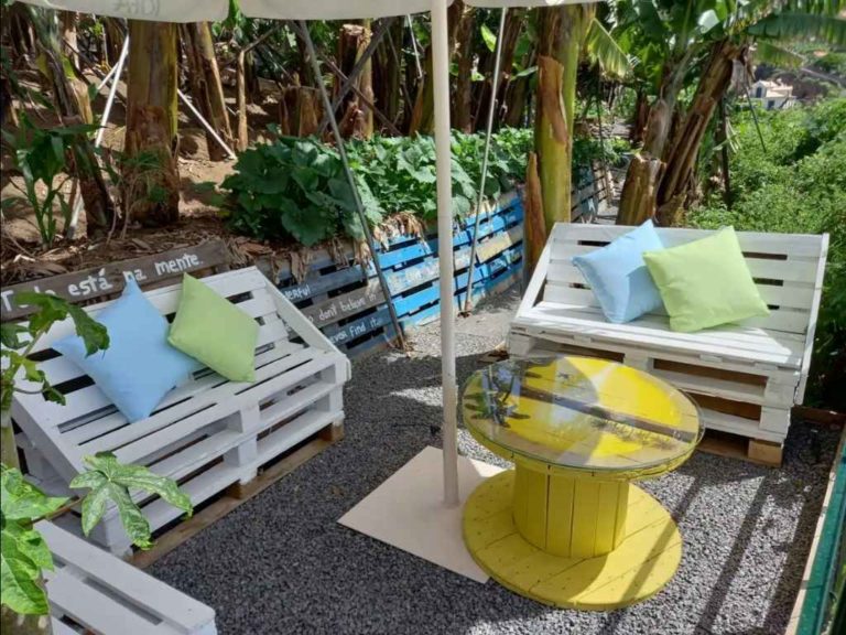 The banana tree apartment outdoor seating area and trees