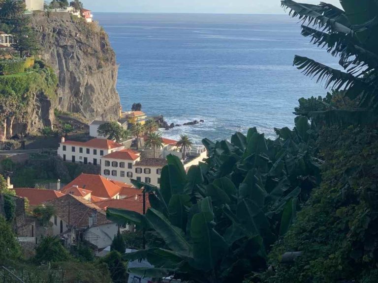 The garden apartment view of ponta do sol